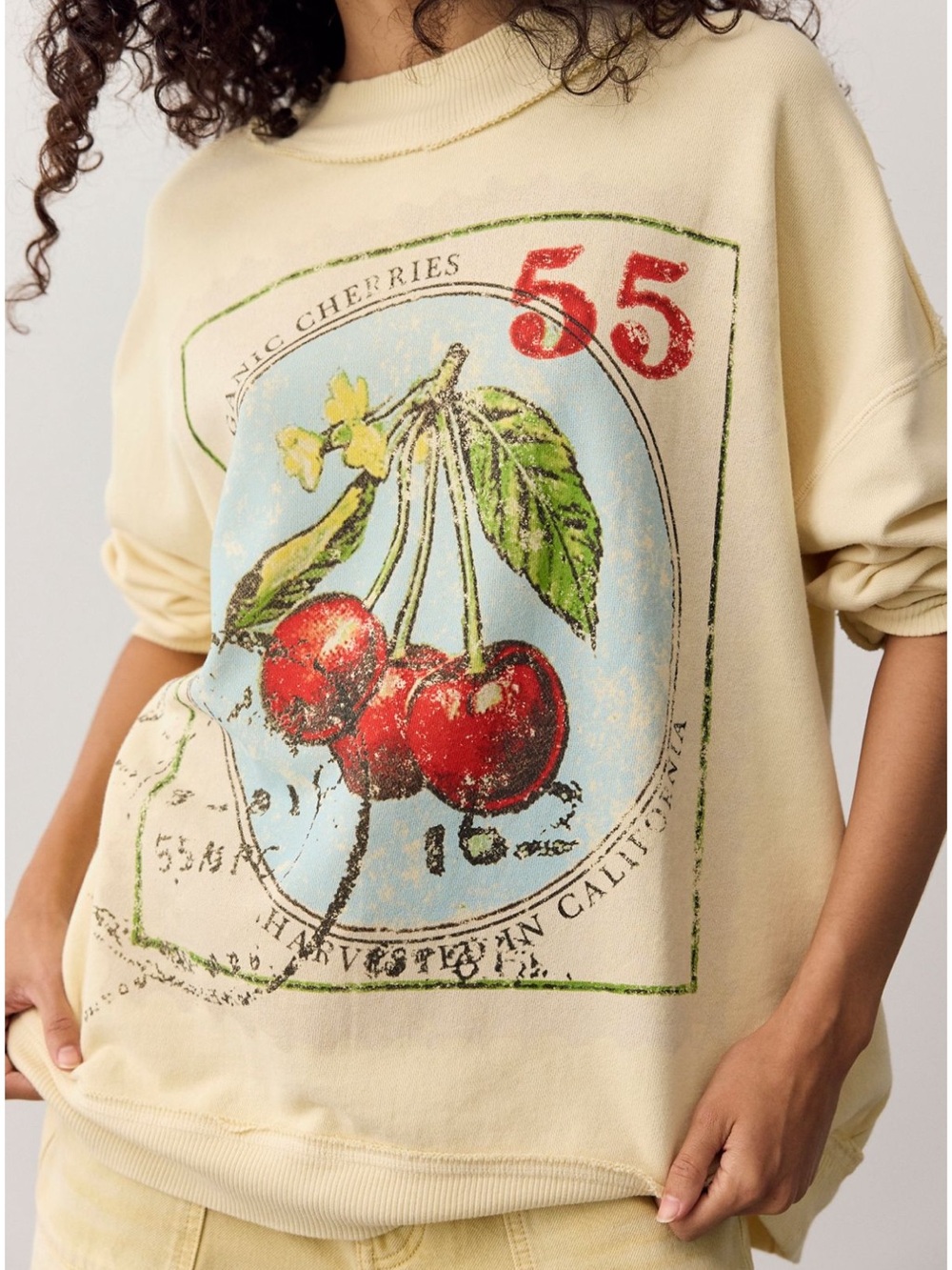PALM SPRINGS GRAPHIC PULLOVER CHERRY COMBO